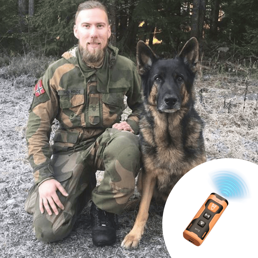 Stop hundens gøen og uønsket adfærd – hurtigt, nemt og på en skånsom måde!