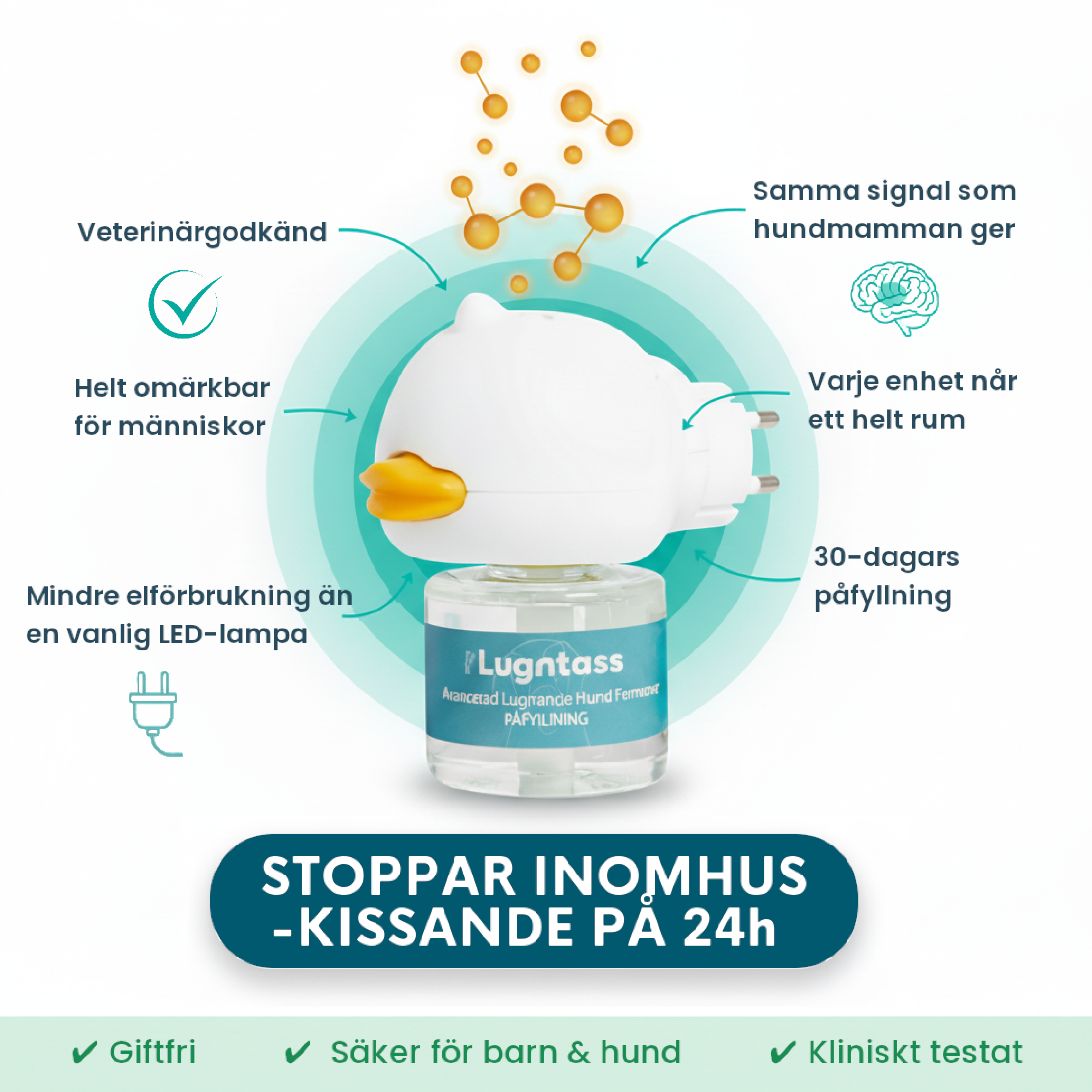 Förvandla din hunds inomhuskissande, skällande och oro – snabbt, enkelt och skonsamt!